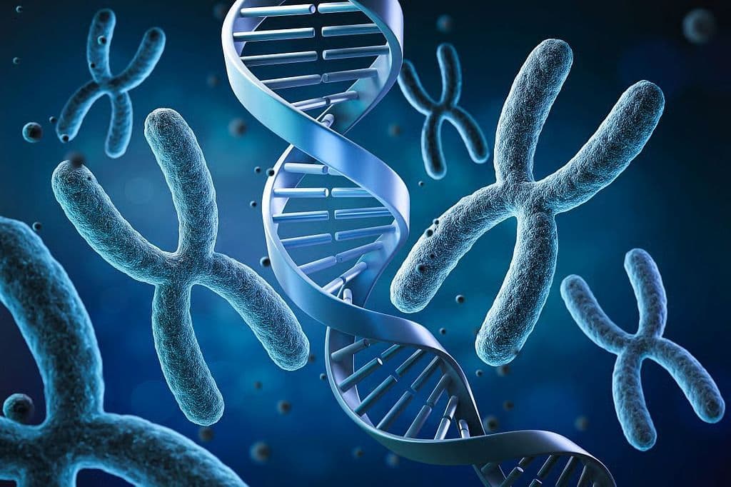 40-Gene Expression Profile Predicts Local Recurrence in High-Risk cSCC