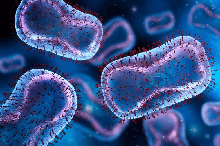 CDC Reports No New Mpox Cases in Over a Week for First Time Since Outbreak Began