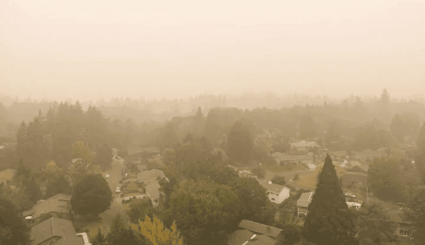 Skin Clinic Visits Increased With High Carbon Monoxide Levels Due to Wildfires