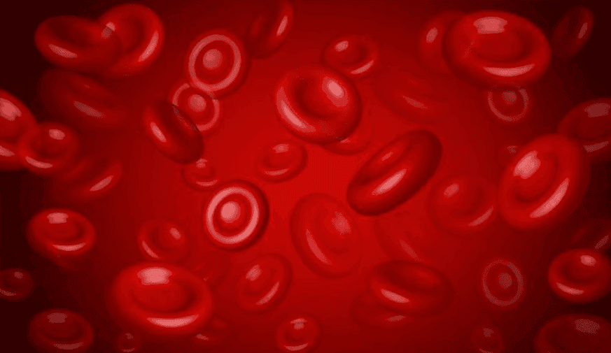 Review Explores Cutaneous Manifestations of Myelodysplastic Syndrome