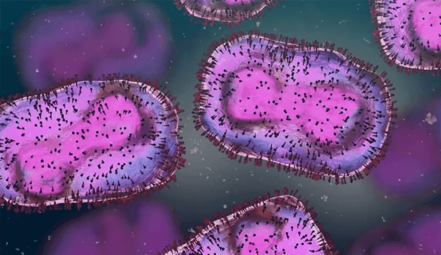 CDC Warns That Mpox Could Make a Summer Return