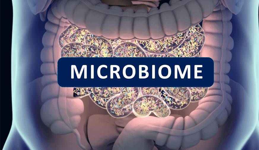 Alterations in Infant Gut Microbiota Precede Development of Eczema