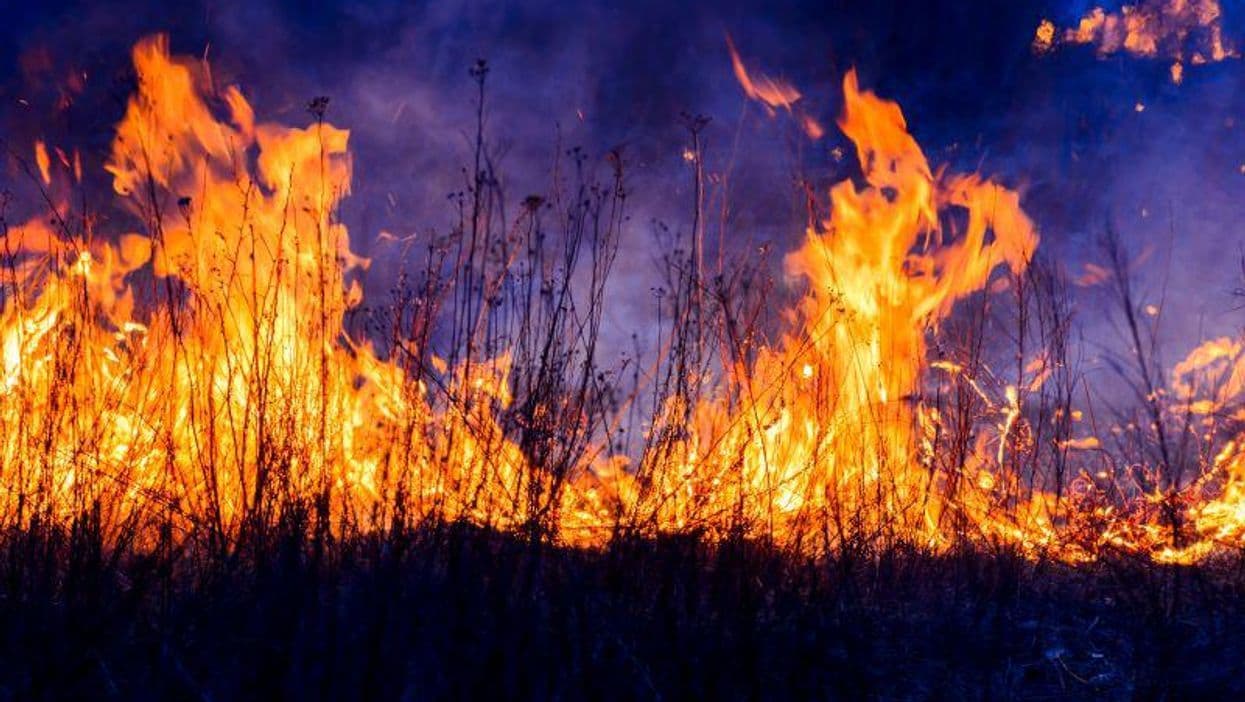 Google Searches for Skin Conditions Increase During Wildfires